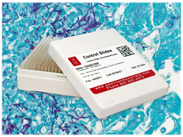 Candida Albicans Control Slides