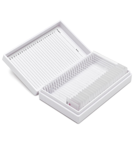 Acid Fast Bacteria Control Slides