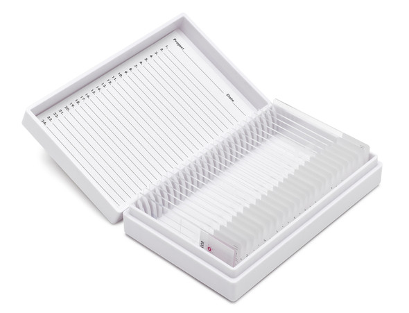 CUSTOM AMYLOID 8UM SLIDES 1/2 GR.