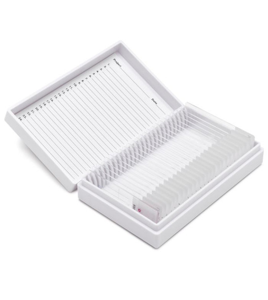 StatLab Skeletal Muscle Control Slides, adhesive slide. 25 slides / box