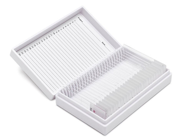 Control Slides, Estrogen, 15 slides