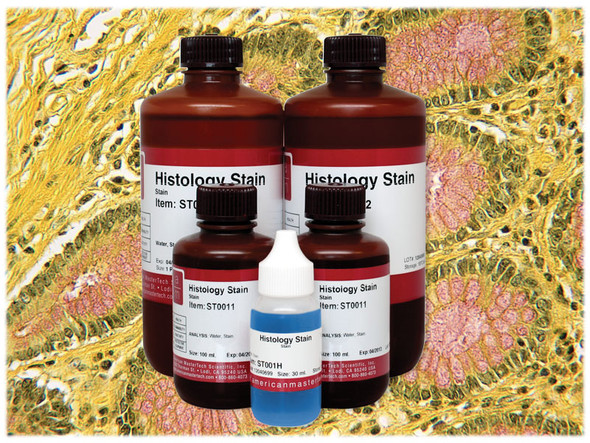 Mucicarmine Stain (Stock)