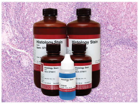 Methyl Green Pyronin Stain