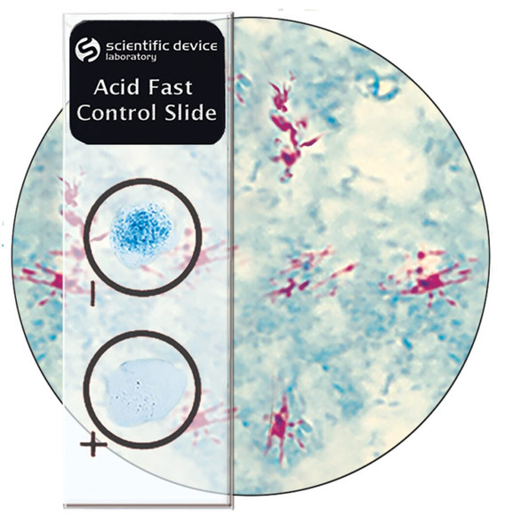 Acid Fast Control Slides, 10 slides/box