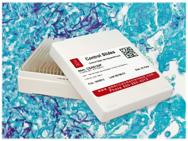 Candida Albicans Control Slides