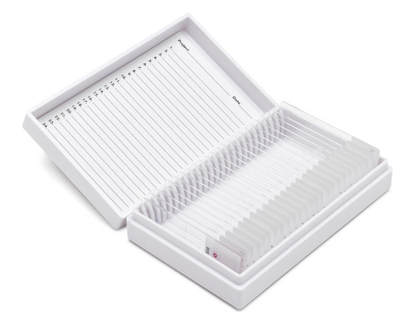 Mesothelioma IHC Control Slides