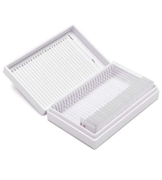 Alcian Blue Control Slides