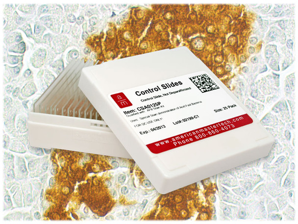 StatLab Pancreas Control Slides, adhesive slide. 25 slides / box