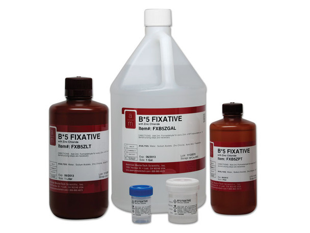 B5 Zinc Chloride Fixative, 20ml PreFills, 96/Case