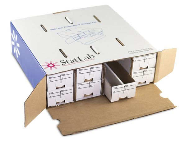 Safe-Store Slide File System