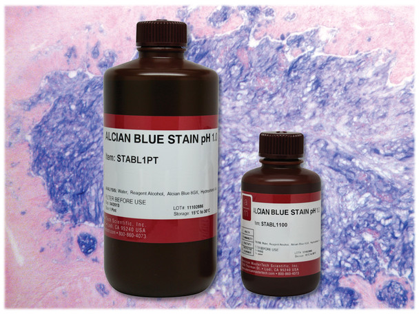 Alcian Blue Stain pH 1.0