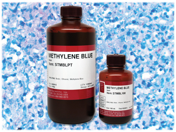 Methylene Blue Stain