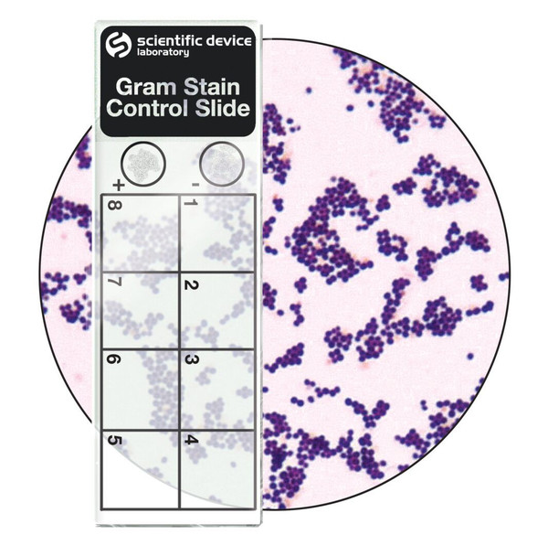 Gram Stain Control Slides, 10 slides/box