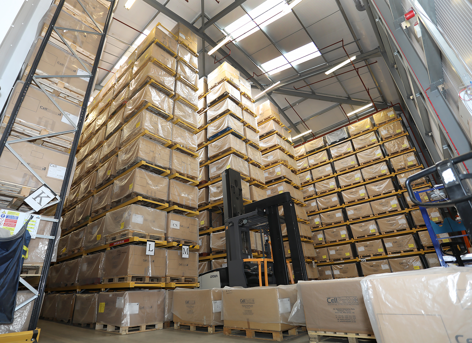 <p><span style="font-size: 10pt;">CELLNASS SPECIMEN ARCHIVAL</span></p>