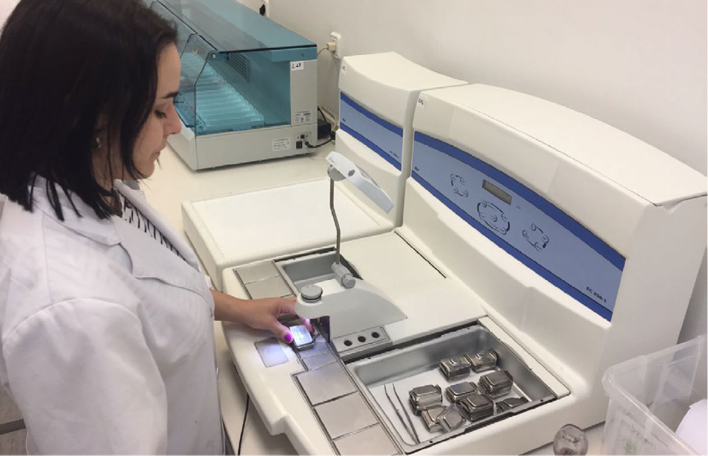 <p><span style="font-size: 10pt;">EMBEDDING CENTERS</span></p>