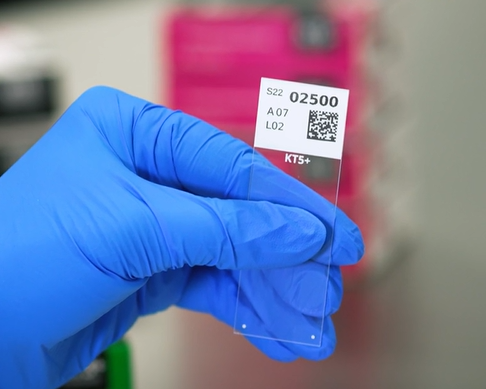 <p><span style="font-size: 10pt;">HIGH-CONTRAST PRINTING</span></p>