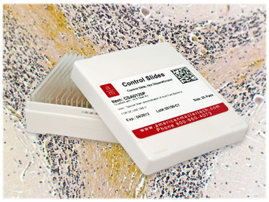 Cerebellum IHC Control Slides