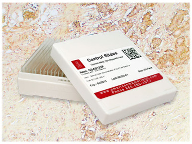 StatLab Argent-Argyrophil Control Slides, adhesive slide. 25 slides / box