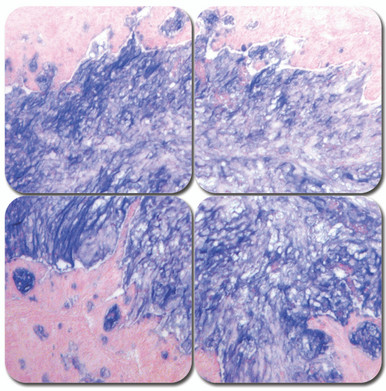 Alcian Blue Stain Kit - pH 1.0
