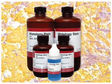 Aldehyde Fuchsin Stain