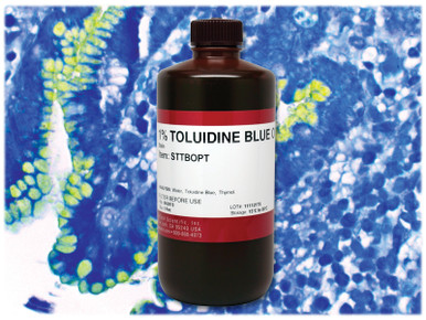 1% Toluidine Blue O Stain