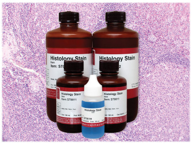 Methyl Green Pyronin Stain