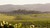 2024 Matthew Wallace The Estate Cabernet Sauvignon, Napa Valley
