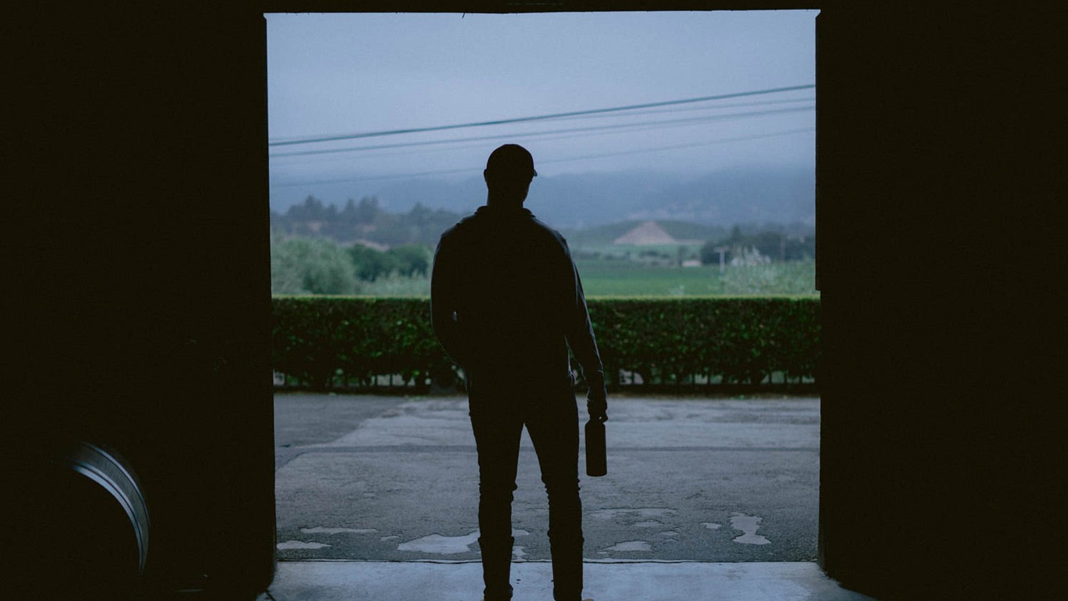 Four Doors vineyard