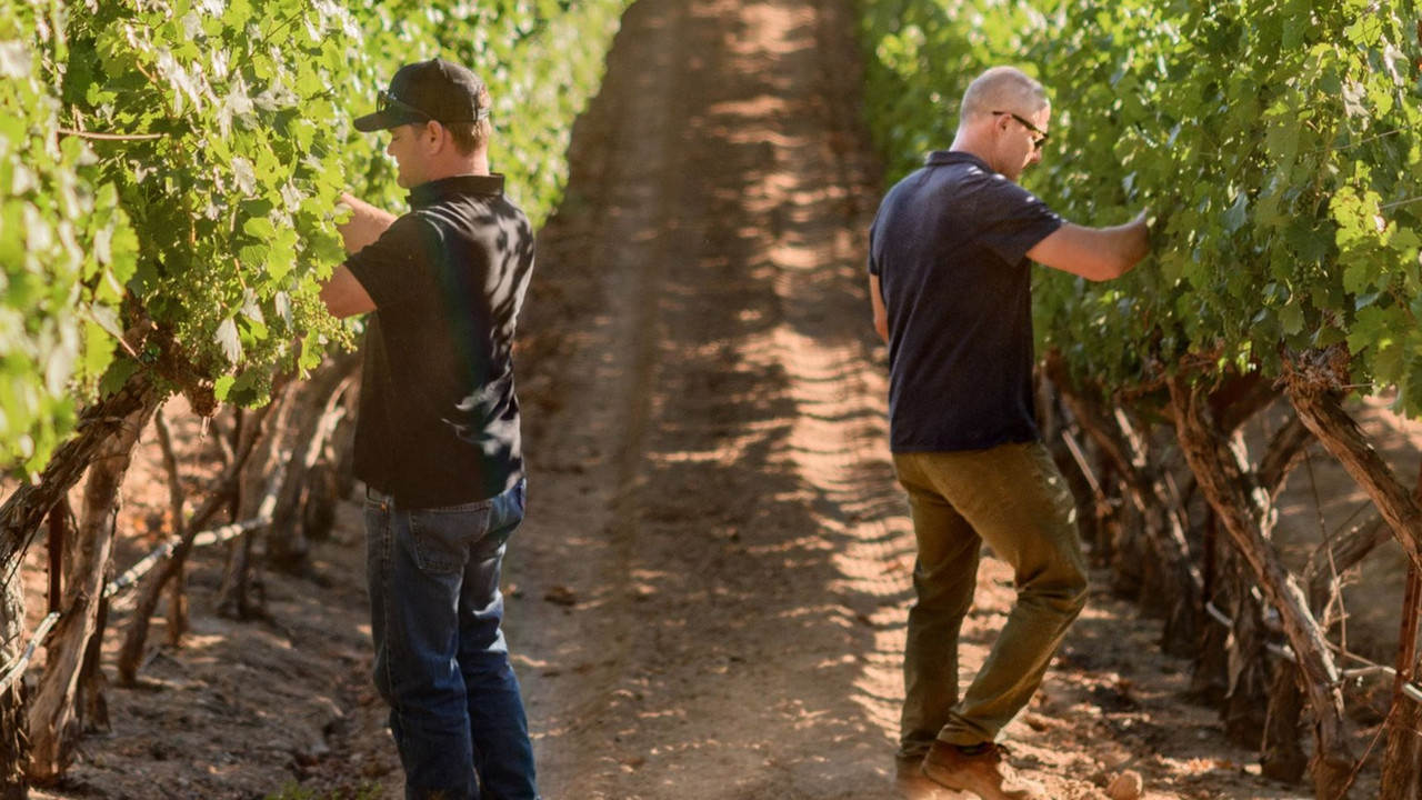 Thomas Rivers Brown, Winemaker