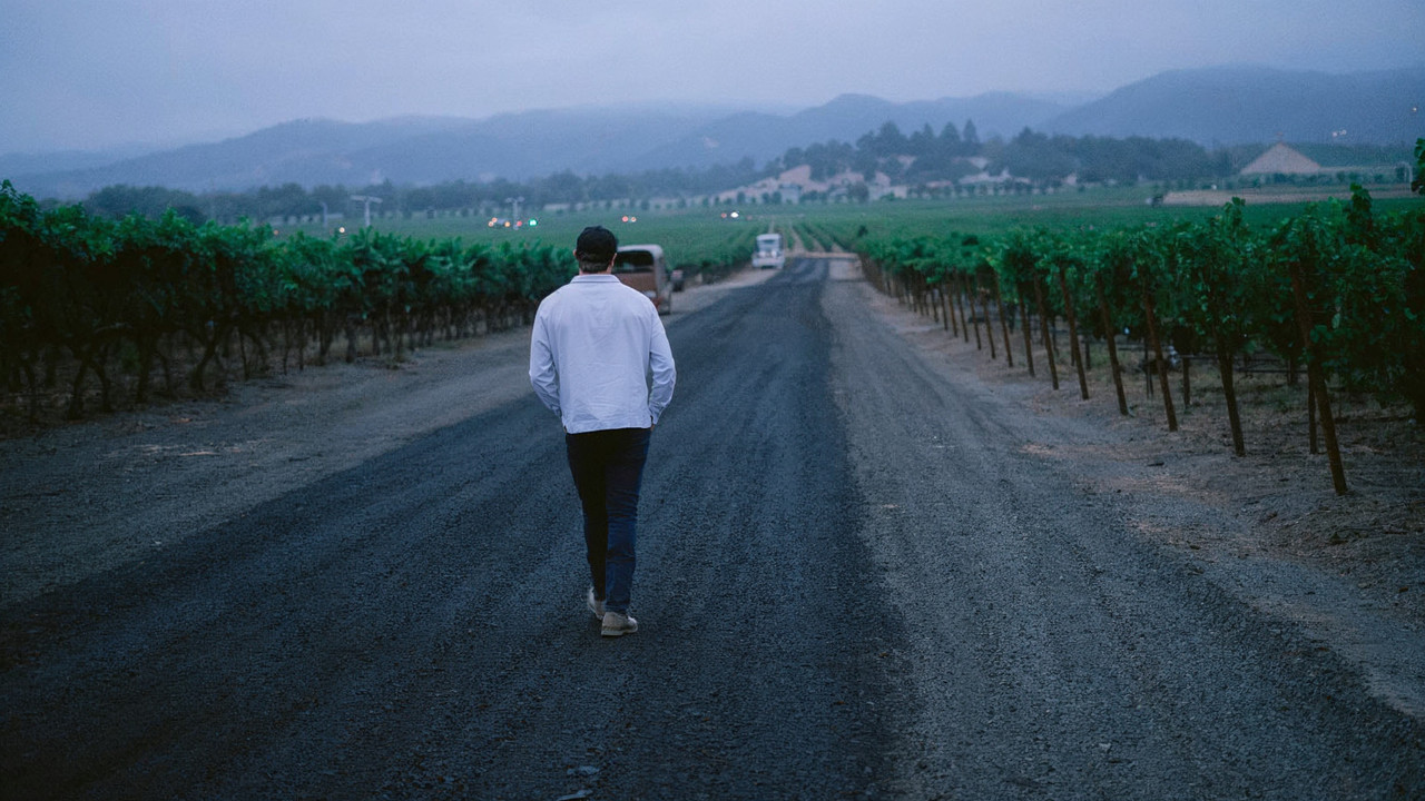 Four Doors founder walking alone down a long Napa Valley vineyard road