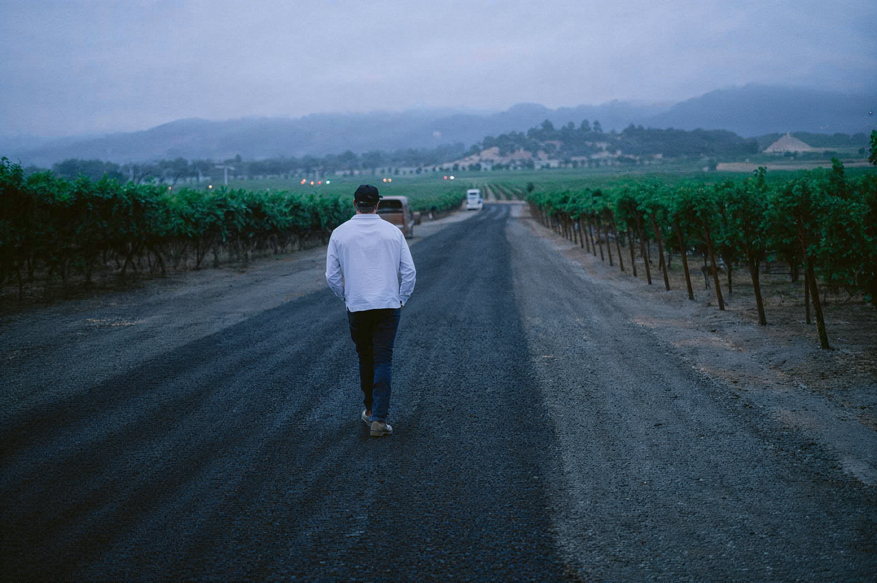 Four Doors vineyard work in Stags Leap District
