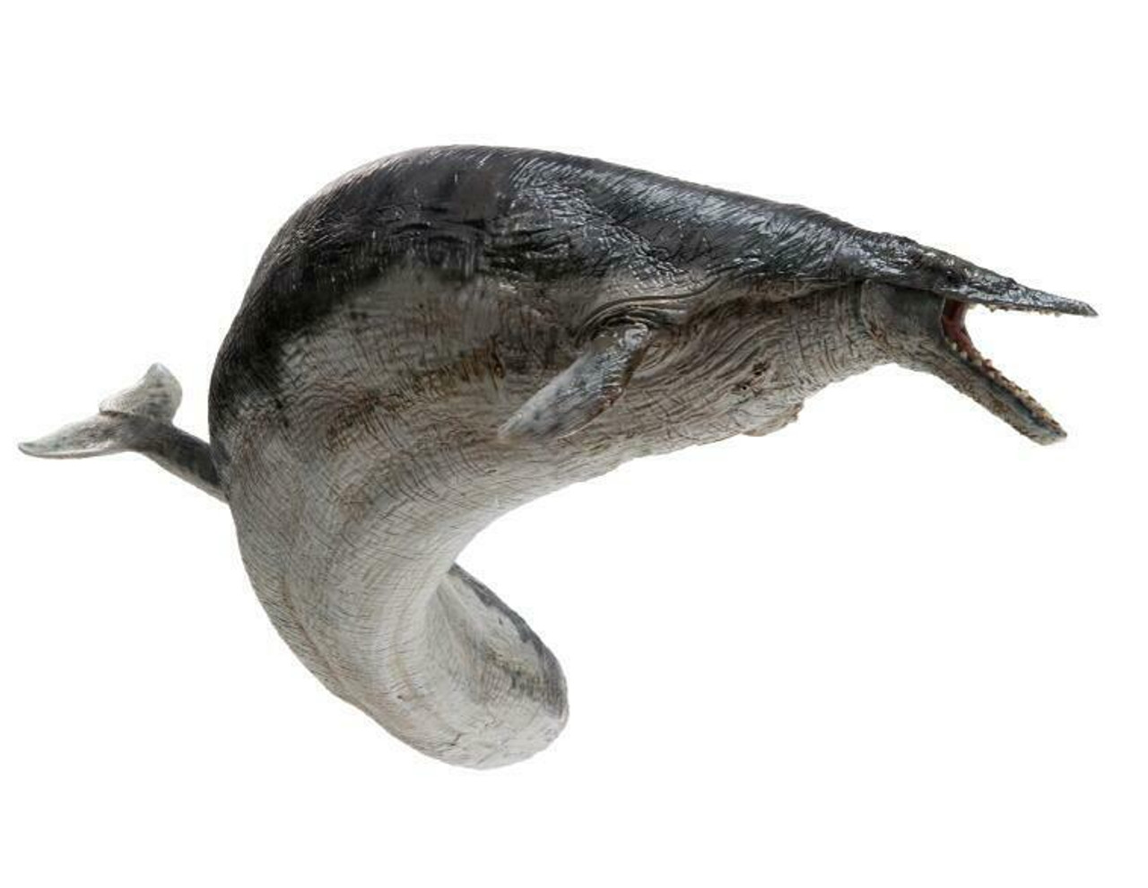 Basilosaurus Model by PNSO Dan's Dinosaurs