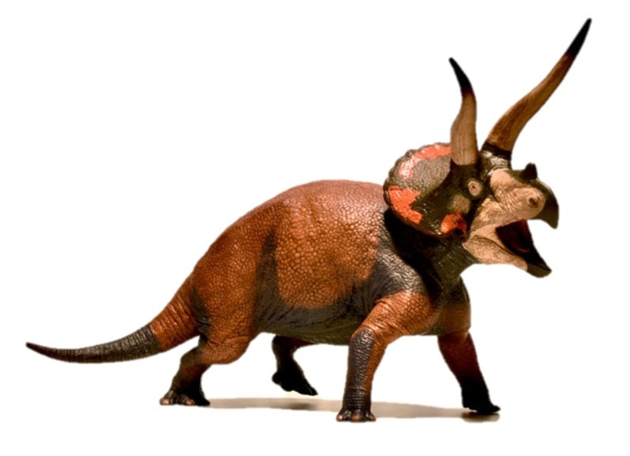 Eofauna - Old and new EoFauna Deinotherium models. The