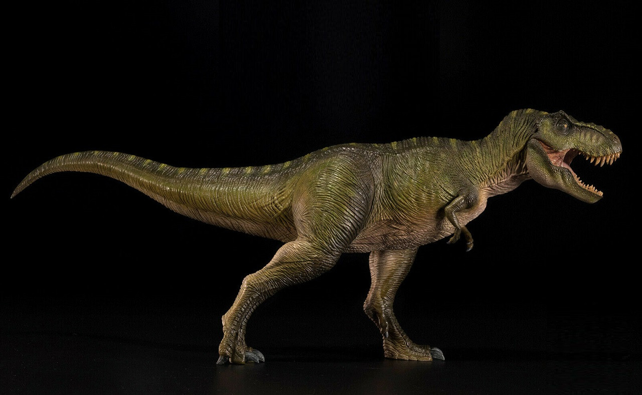 Tyrannosaurus By Nanmu Dan S Dinosaurs