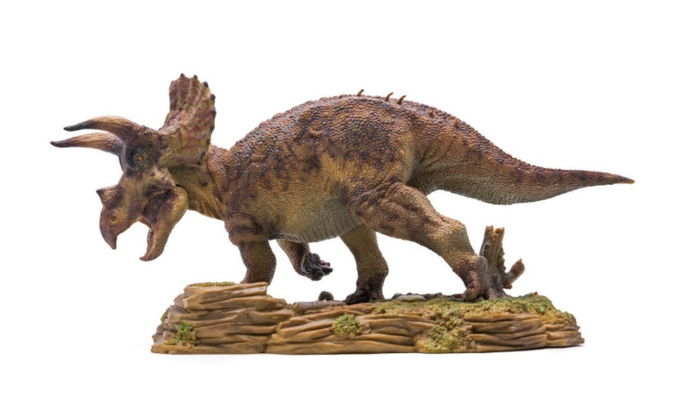 Triceratops Model by PNSO Dan's Dinosaurs