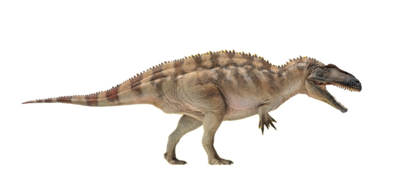 PNSO Deinocheirus Model