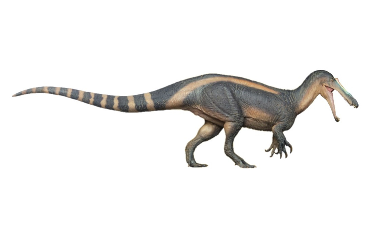 Deinocheirus (PNSO) – Dinosaur Toy Blog
