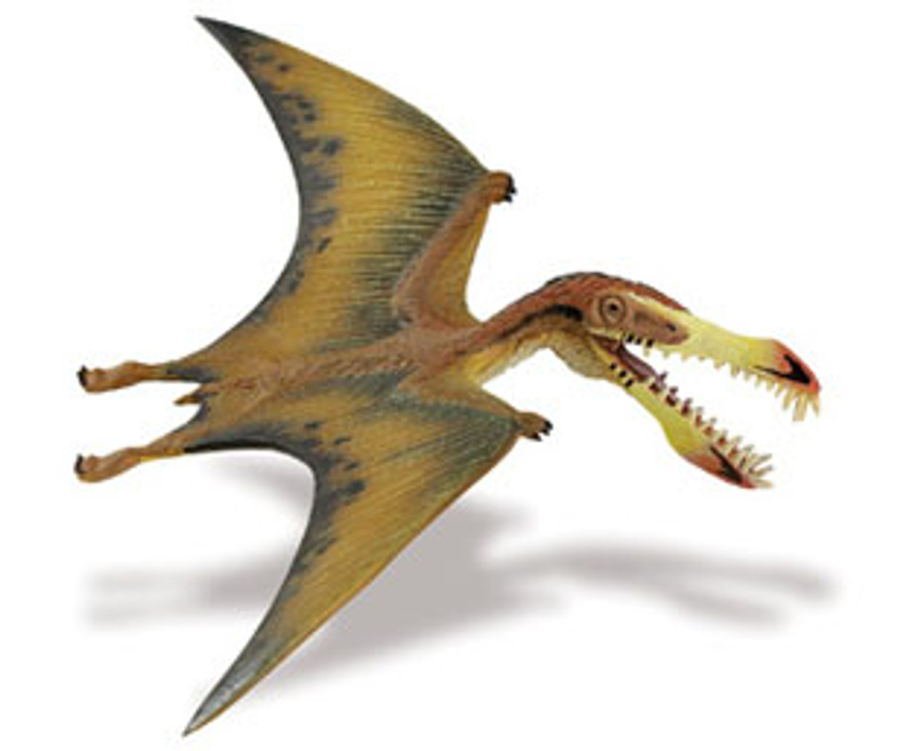 Nyctosaurus, the wild pterosaur with an antler