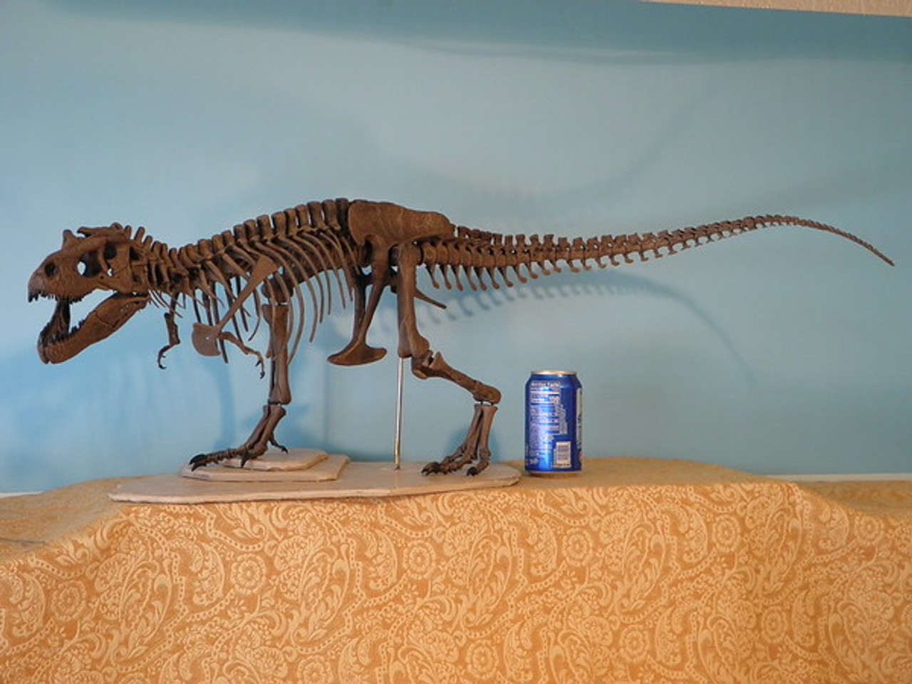 Tyrannosaurus Resin Kit by Desert Dinosaurs - Dan's Dinosaurs