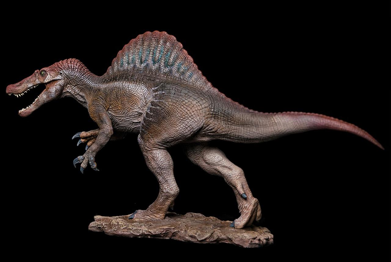 Spinosaurus By W Dragon Dan S Dinosaurs