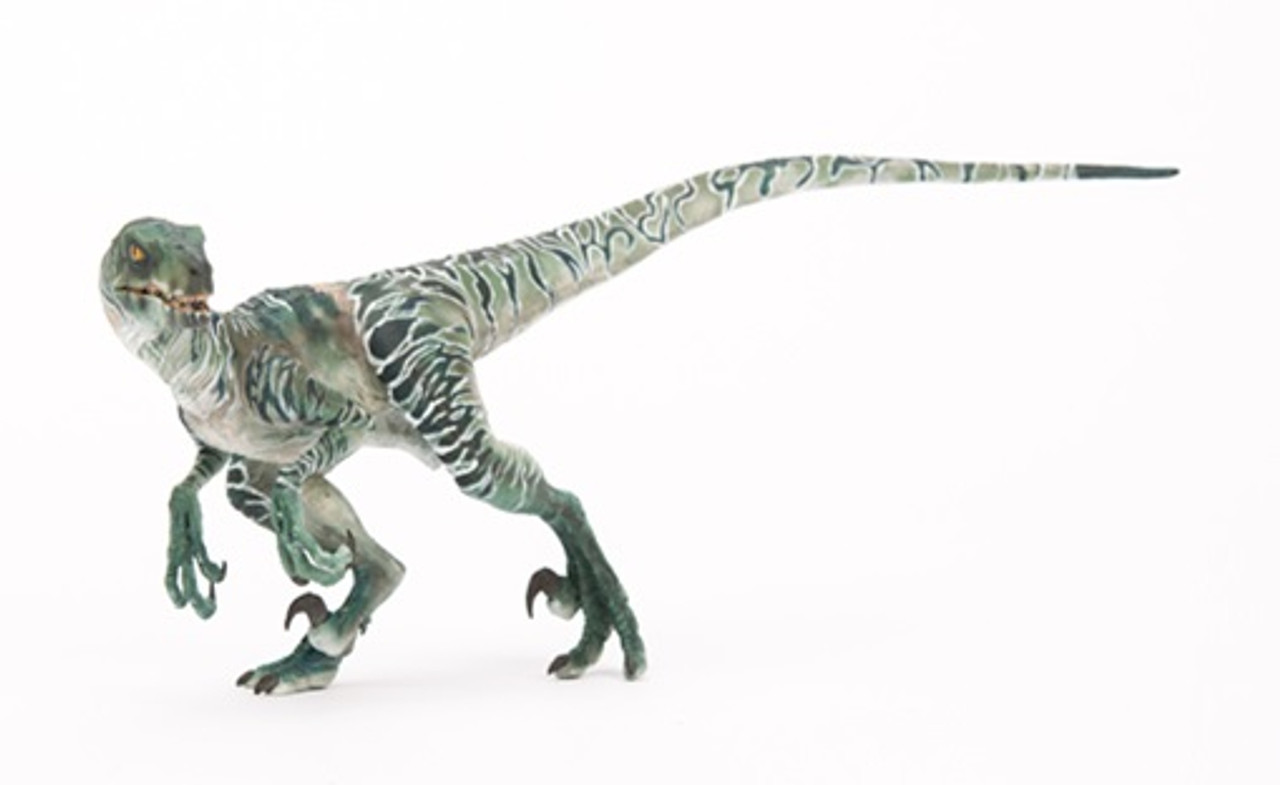 Velociraptor Dinosaur, photos  information - Velociraptor Gallery