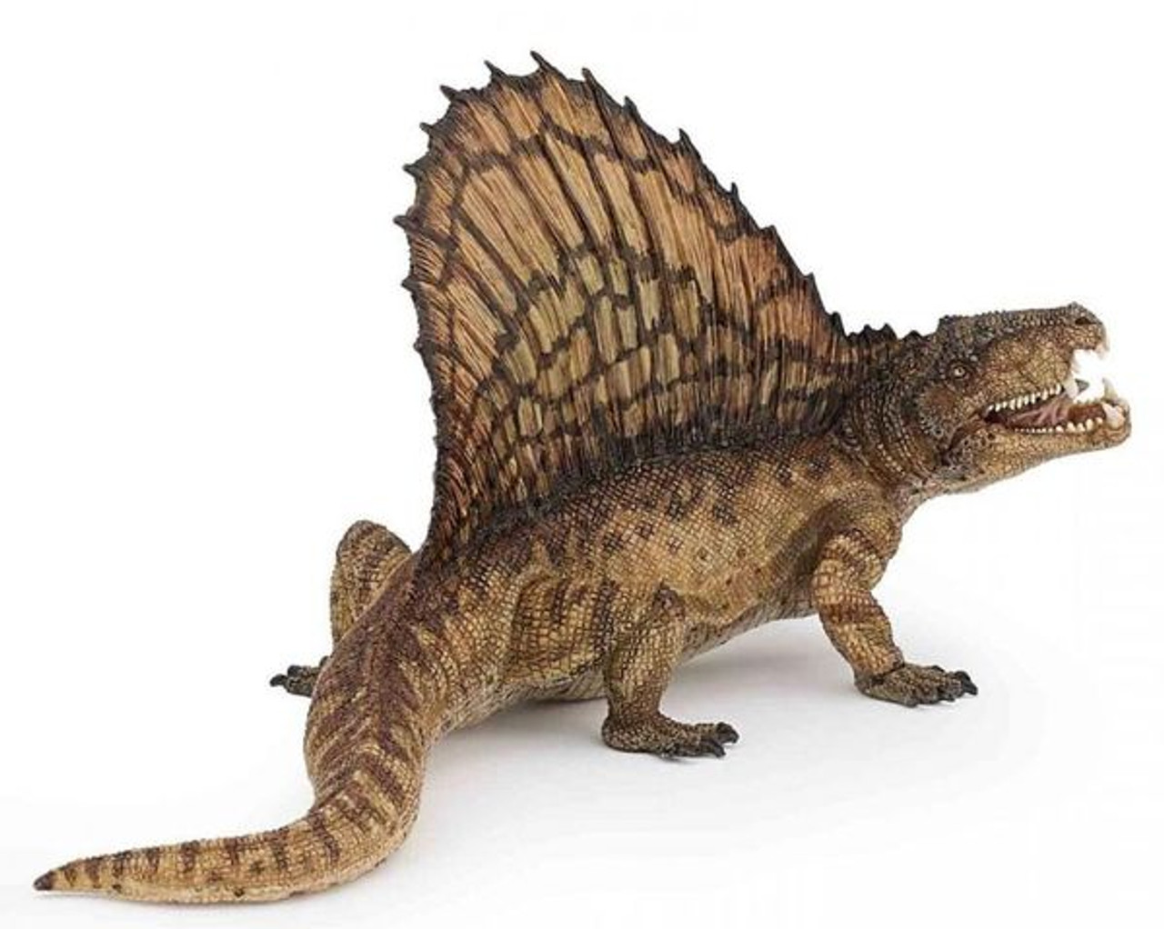 collecta dimetrodon