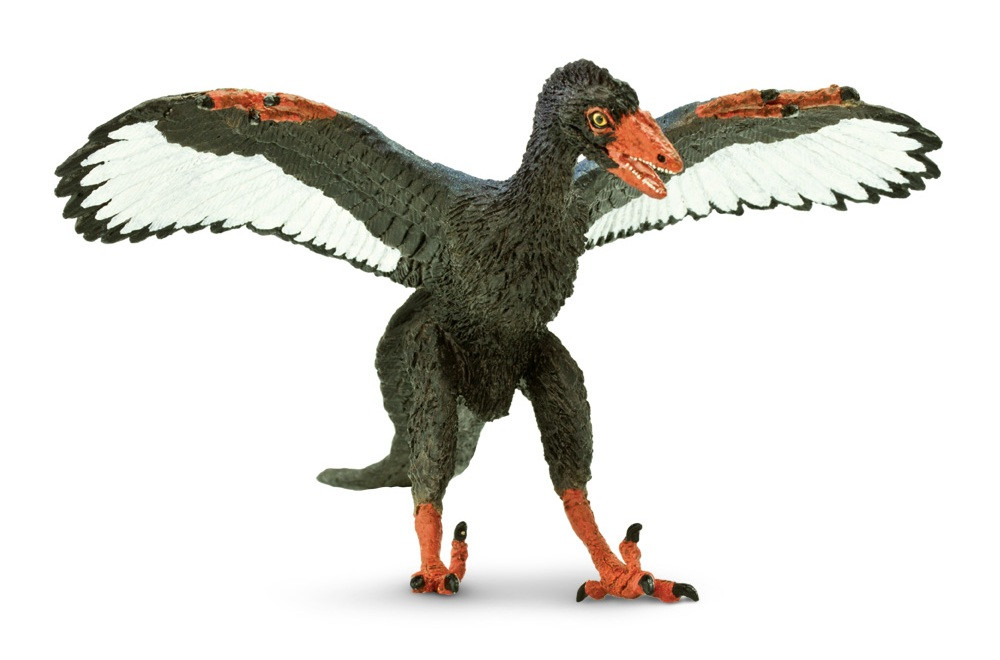 Safari Ltd Archaeopteryx - Figurina Realistica Di Dinosauro-Piumato, Giocattolo Educativo Per Bambini