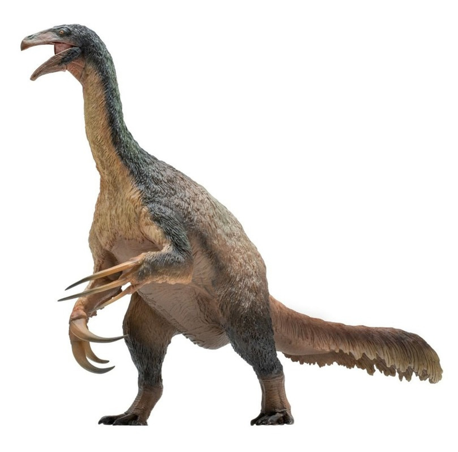 Therizinosaurus by PNSO Dan's Dinosaurs