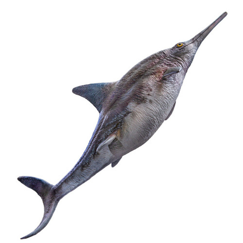 Ophthalmosaurus Model by PNSO