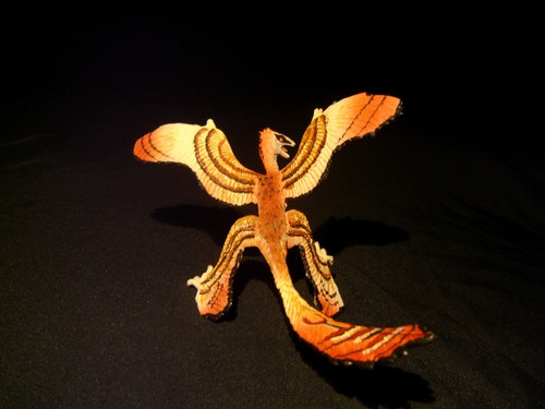 Microraptor by Carnegie
