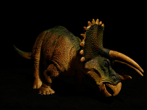 Triceratops by Wild Safari