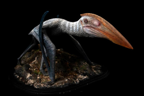 Hatzegopteryx Resin Kit by DeClay