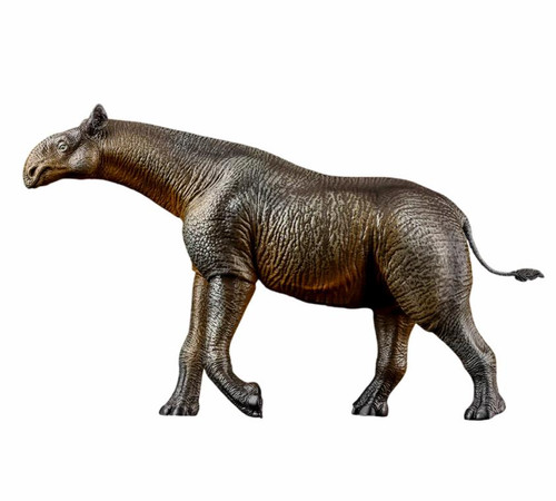 Paraceratherium by Haolonggood