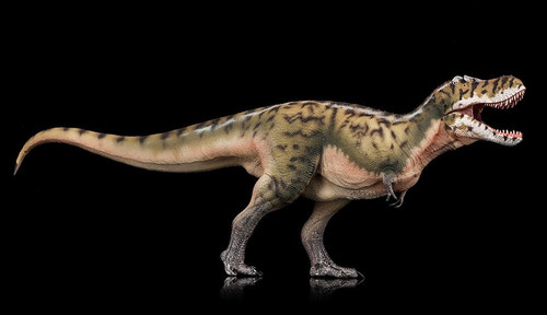 Tarbosaurus by Haolonggood